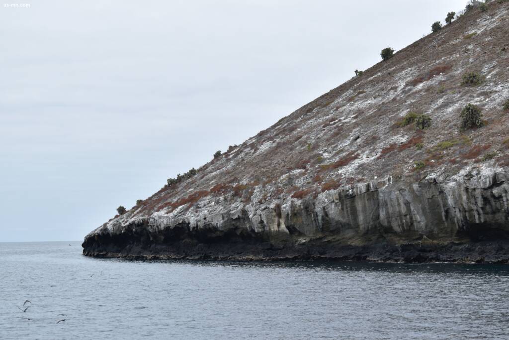 North Seymour Island